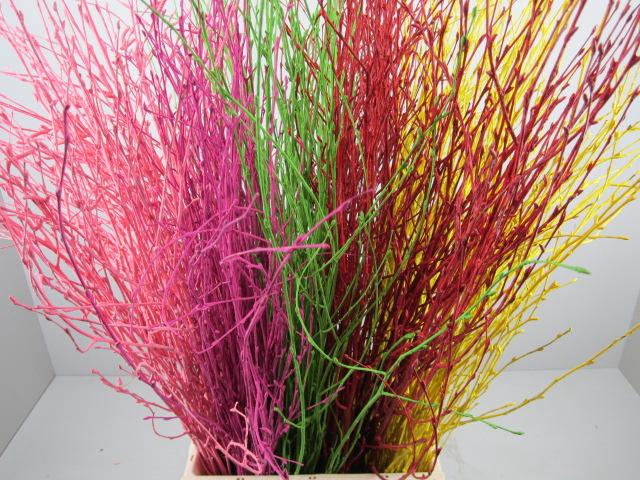<h4>Berk Mix L60</h4>