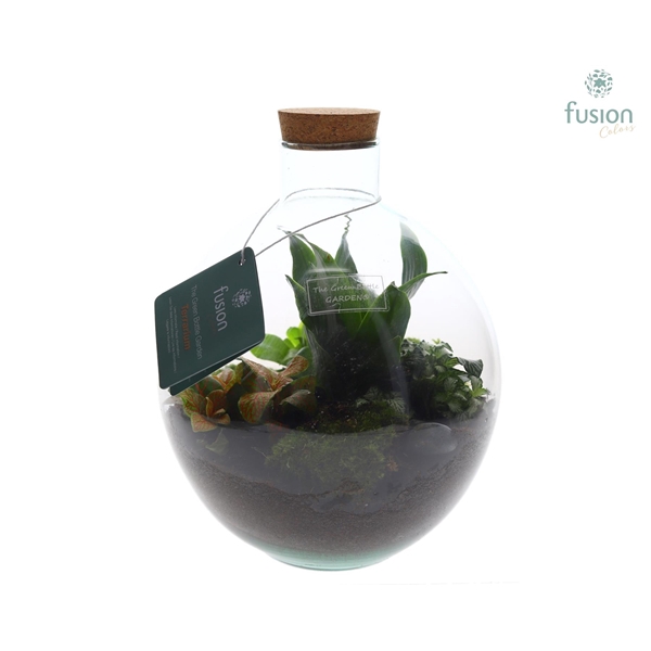 <h4>Terrarium Okaido Medium met Arrangement</h4>