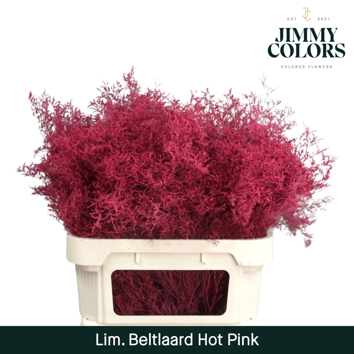 <h4>Lim Bel L90 Hot Pink</h4>