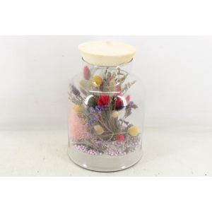 Arr2 Droogbl. Mb - Glas Venice 285/5