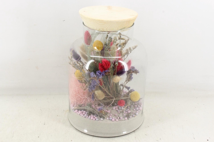 Arr2 Droogbl. Mb - Glas Venice 285/5