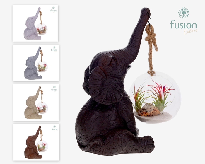 <h4>Dieren Olifant Large met Tillandsia in glas</h4>