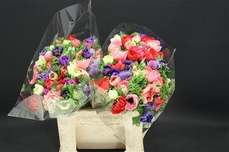 <h4>Anem Levante Mix X100</h4>