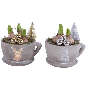 Christmas Arr. Hyacint Ceramic Pot Cup and Saucer Ø19cm 3PP