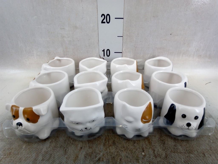 Decoratieve materialen   ...H%