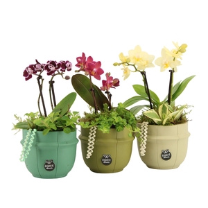 11608: Consideration arrangement