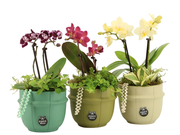 <h4>11608: Consideration arrangement</h4>