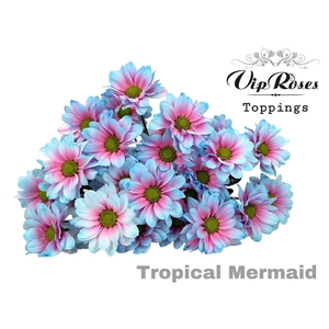 Chr T Paint Tropic Mermaid
