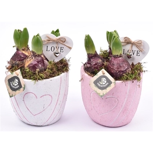 Cement pot met hart decor mix 14cm