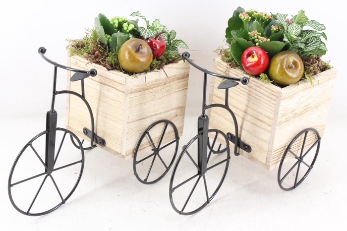 <h4>arr2 TD - Driewieler - rood/wit</h4>