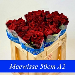 RS GR RED NAOMI ZWARTE EMMER