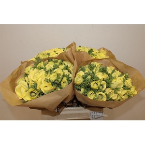 Anem Marianne Powder Yellow