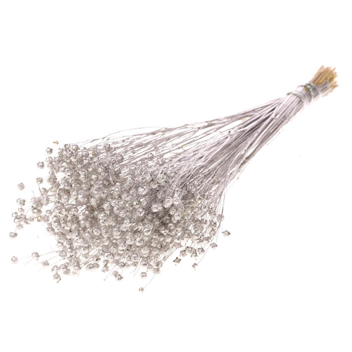 <h4>Linum Silver</h4>