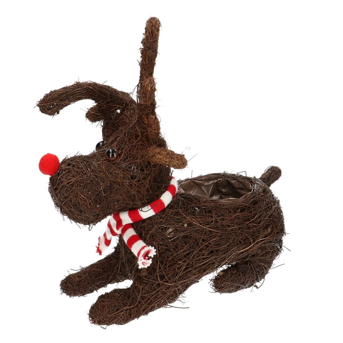 <h4>Sale Christmas Reindeer plant d09*30*30cm</h4>