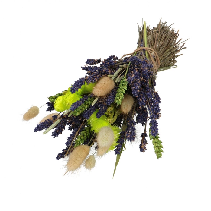 <h4>Droogbloem Boeket Lavendel 33cm</h4>