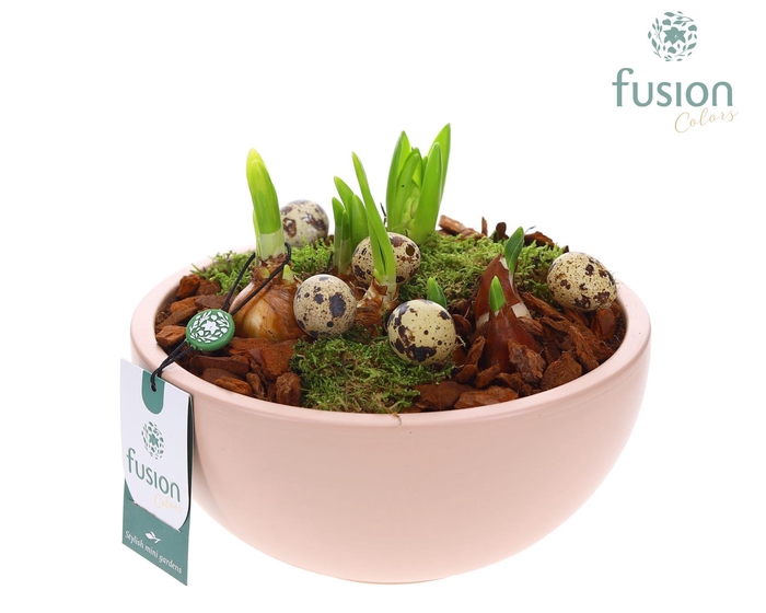 <h4>Schaal keramiek Moon Large blush pink Pasen met Bollen</h4>