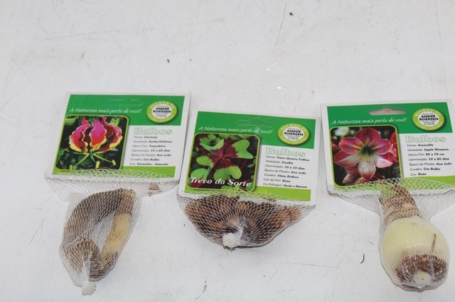 <h4>BULBOS DE FLORES NATURAIS</h4>