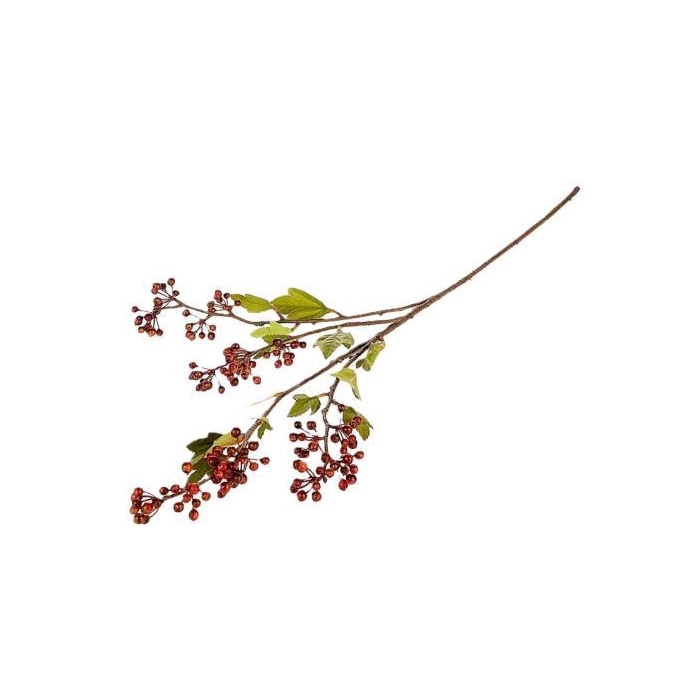 <h4>Branch Berry Canta L89</h4>