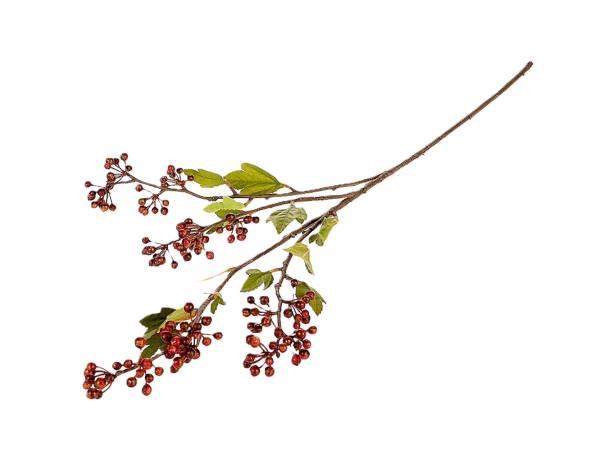 <h4>SILK STEM SILK BRANCH BERRY CANTA L89</h4>