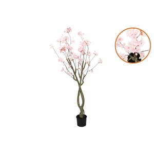 Silk Cherry Blossom Tree Light Pink 180cm