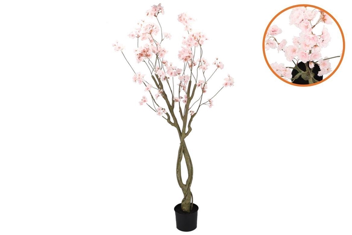 <h4>Silk Cherry Blossom Tree Light Pink 180cm</h4>
