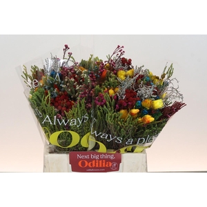 BQ Kaaps Groen Mandarin