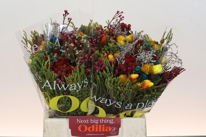 <h4>BQ Kaaps Groen Mandarin</h4>