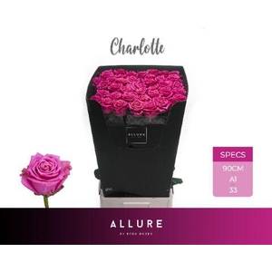 R GR CHARLOTTE ALLURE