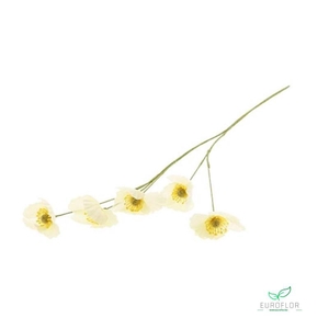 SILK FLOWERS - POPPY L61 WHITE