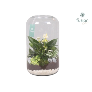 Green bottle xxlarge met white arrangement