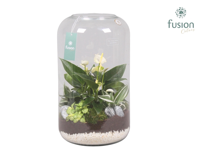 <h4>Green bottle xxlarge met white arrangement</h4>