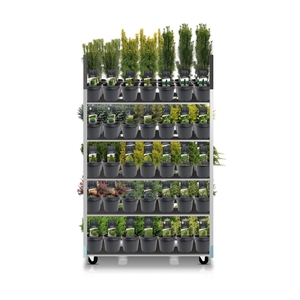 Coniferenmix assortiment C3 - exclusieve mix CC (mix kan afwijken van foto)