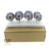 Dried Bleached Dandelion Stardust Box