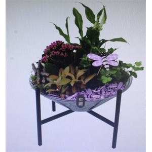 2669 Paars 28 Op Pootje