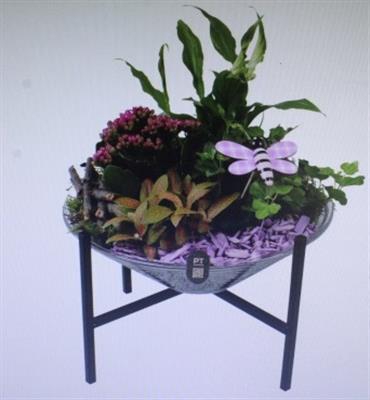 <h4>2669 PAARS 28 OP POOTJE</h4>