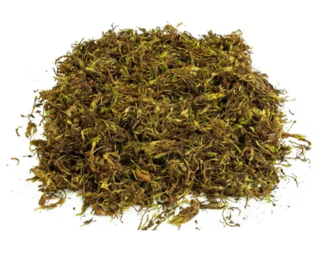 <h4>MUSGO DESIDRATADO GRANDE 500G</h4>