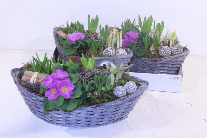 <h4>ARR TUINPLANTEN</h4>