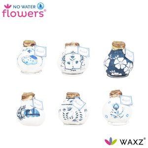 No Water Flowers Waxz® Delfts Blauw Mix