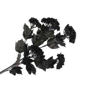 Silk Dye Black Viburnum 5x 87cm