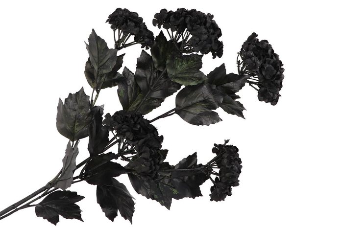 Silk Dye Black Viburnum 5x 87cm