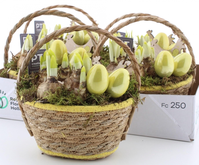 <h4>ARR N TETE A TETE</h4>