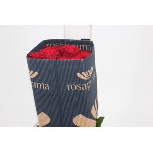 ROSA VERMELHA FREEDOM 050 IMPORTADA