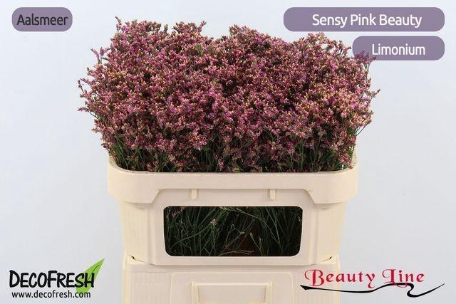 <h4>LIM SIN SEN PIN BEAU</h4>