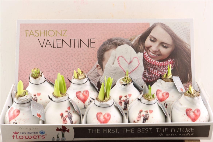 <h4>Wax Hipp First Love</h4>