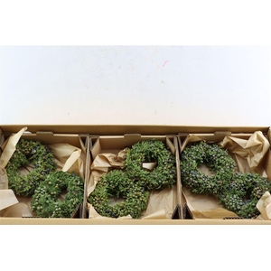 Wr Sierfruit Juniperus Green 20cm