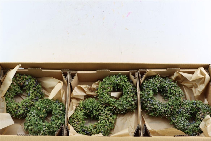 <h4>Wr Sierfruit Juniperus Green 20cm</h4>
