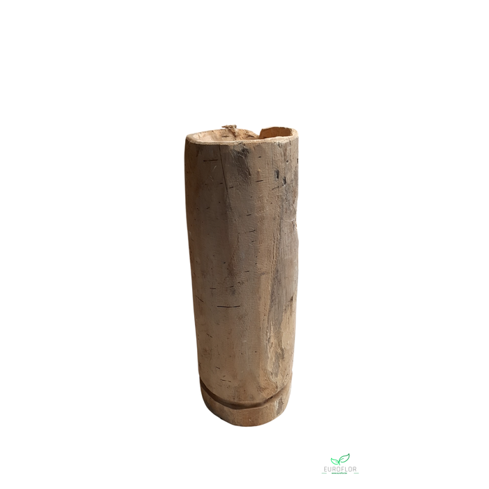 <h4>VASE TEAK GENTONG D16 H50</h4>