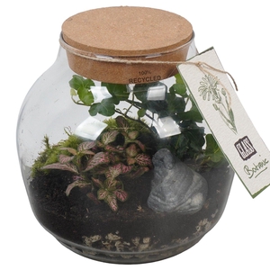 PTGIG2169 Arrangement Greens in glass in glazen terrarium