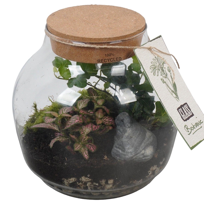 <h4>PTGIG2169 Arrangement Greens in glass in glazen terrarium</h4>