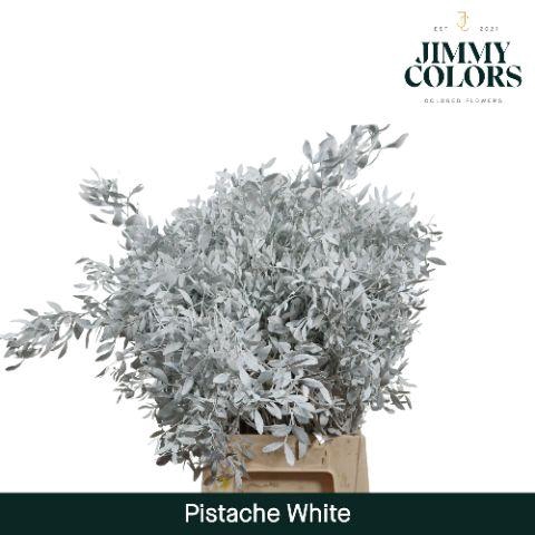 <h4>Pistache L45 White</h4>